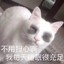 又要挨打了