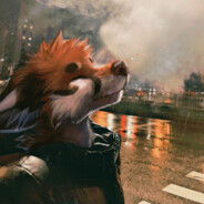 VaalphisFox avatar