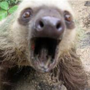 CrackedOutSloth's Avatar