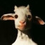 Drayz's avatar