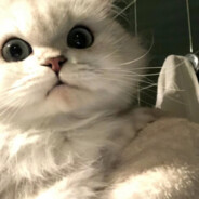 打架少个人 舔包多双手