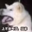 相当精彩的比赛