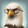 Papa Eagle