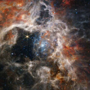 这么喜欢我吗？