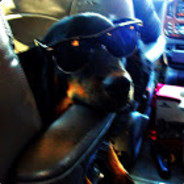 Sawyer