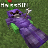 HaissBIN