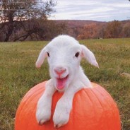 你可不能再吃了啊