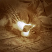 andrew - steam id 76561197971031350