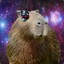 Capivara Biônica