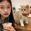 橙子