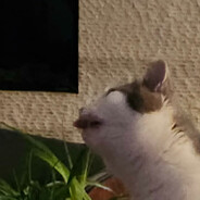 Herb Eater