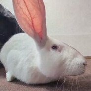 [13SNC] FatRabbitSack