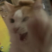 S1r0ta - steam id 76561198957183901