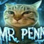 Mr. Penis