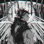 DaraTeo