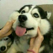 玩啥都坑De空白