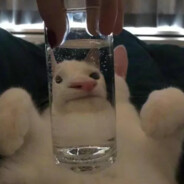 人菜嘴笨手慢瘾大