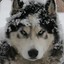 Lakota2006