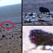 ayyFX Rec0d3 in progress