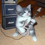 Are you serious right meow?