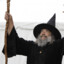 The Wizard of The Forest