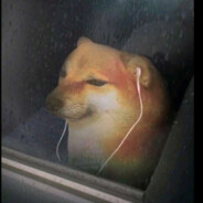 我知道你很急但你先别急