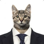 Catnips avatar