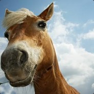 霾都第一快递员