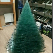 Evergreen