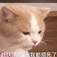 你没塞拉斯温柔