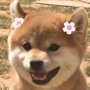 抠点jio皮给你吃