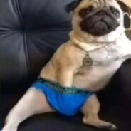 Bekomeister - steam id 76561199699330119