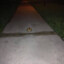 A Frog On A Sidewalk