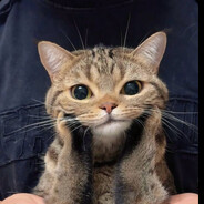 Мусульманго