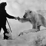 Polar17