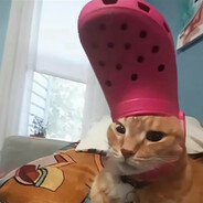 粉笔只有学校有