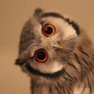 时人会怎样步上楼梯