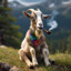 Faded Goat