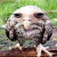 Steam avatar