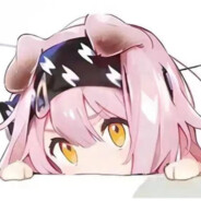 少跟猫猫来这套