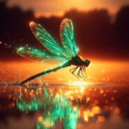 dragonfly.lover