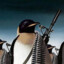 penguinsamillion