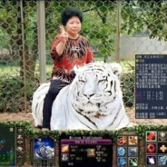 China Lady on White Tiger