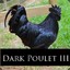 DarkPoulet