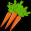 Little Carrots