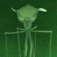 Magnapinna