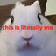 bun