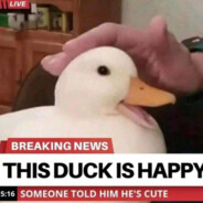 来份不麻不辣的麻辣烫谢谢