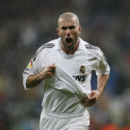 Zinedine Zidaneskins.army