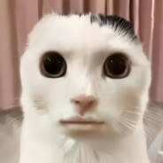 KPLの最強伝説名刀司命で水晶破壊人夢の涙傷